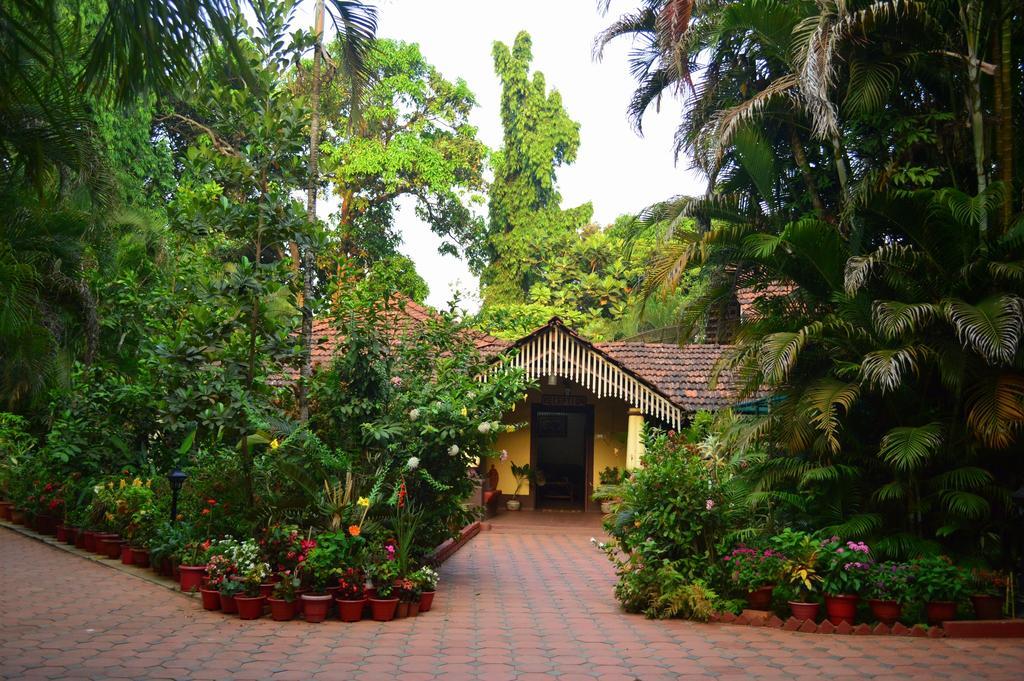 Palm Grove Cottages - Leisure Resort Benaulim Exterior foto